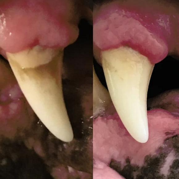 WINPRO Dog Functional Dental Stix (16 Stix)