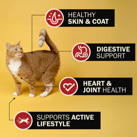 Redbarn Gently Air Dried Powerfood Chicken Recipe Food For Cat (2 lb)