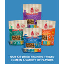 Plato Small Bites Grain-Free Salmon Treats For Dogs