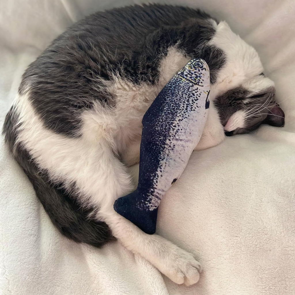 Ethical Flippin' Fish Toy – Rechargeable Cat Toy with Catnip