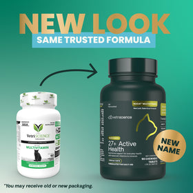 27+ Active Health Tablets for Cats