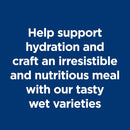 Hill's Science Diet Indoor Adult Salmon & Vegetables Stew Wet Food For Cat (2.8 oz x 24 pouches)