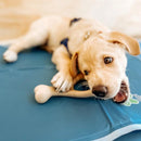 BetterBone Soft Density Classic Flavor Chew Toy For Dog