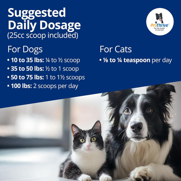 ProThrive Spunky Probiotics (Digestive Enzymes & Joint Support Supplement) for Dogs