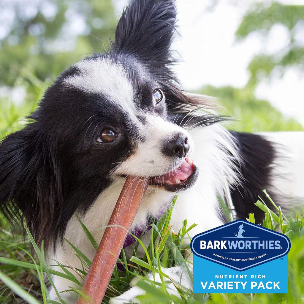 Barkworthies Small Breed Variety Pack Chews Treats For Dog, 5 chews