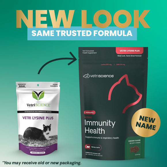 Lysine Immunity Health Chews for Cats