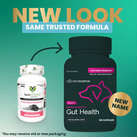 Extra Strength Gut Health Capsules for Dogs