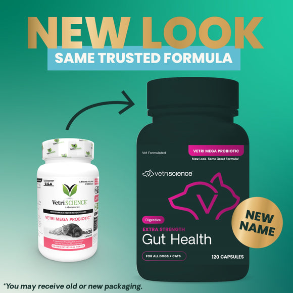 Extra Strength Gut Health Capsules for Dogs