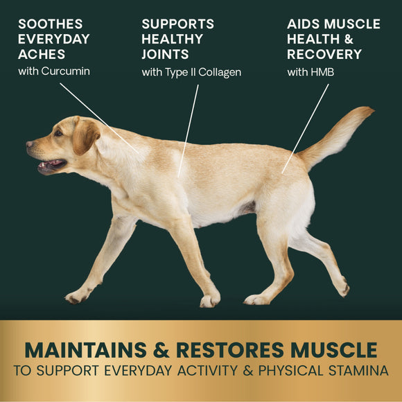 HMB Healthy Muscle & Strength Granules for Dogs