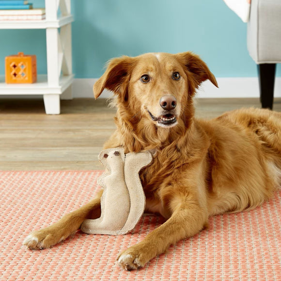 Ethical Dura-Fuse Leather Jute Squirrel Toy For Dog Small (10")