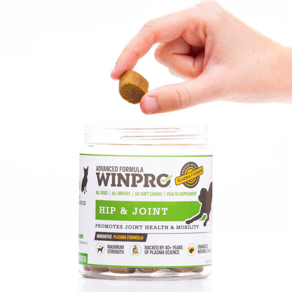 WINPRO Dog Hip & Joint (60 Chews)