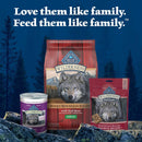 Blue Buffalo Wilderness Trail Treats Salmon Biscuits for Dogs (10 oz)