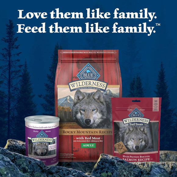 Blue Buffalo Wilderness Trail Treats Salmon Biscuits for Dogs (10 oz)