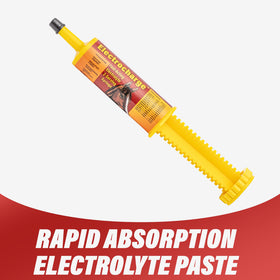 Finish Line Electrocharge Fast-Acting Electrolyte Paste for Horses (60 cc)