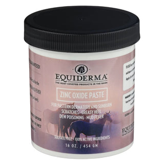 Equiderma Zinc Oxide Paste For Horse (16 oz)