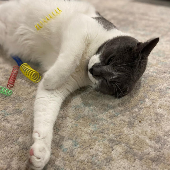 Ethical Colorful Springs Thin 10 pack Toy For Cat