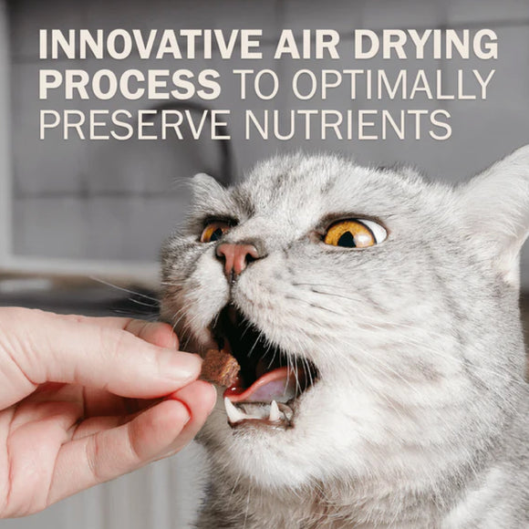 Redbarn Gently Air Dried Powerfood Chicken Recipe Food For Cat (2 lb)