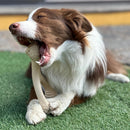 BetterBone Soft Density Beef Flavor Chew Toy For Dog