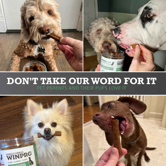 WINPRO Dog Functional Dental Stix (16 Stix)