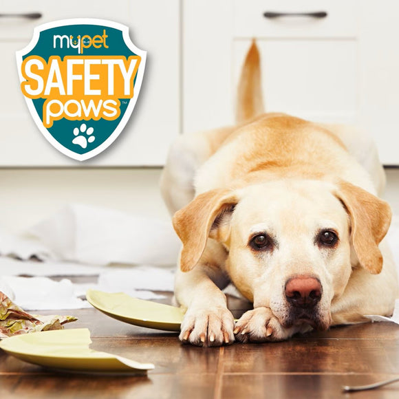 Mypet Safety Paws Pet Proofing Starter Set For Dogs & Cats