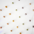 Lord Jameson Carrot Pops Organic Carrot Soft & Chewy Treats For Dog  (6 oz)