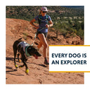 Ruffwear Swamp Cooler Cooling Dog Vest (Sage Green) For Dog