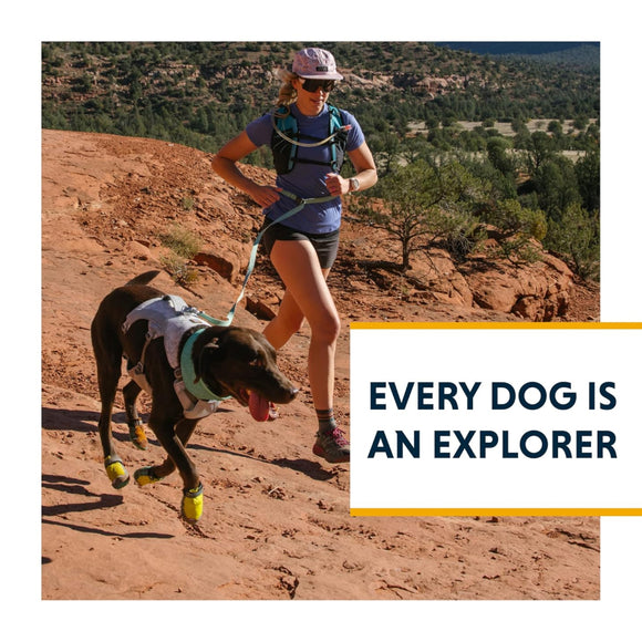 Ruffwear Swamp Cooler Cooling Dog Vest (Sage Green) For Dog