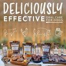 TropiClean Fresh Breath Enticers Peanut Butter & Honey Tartar Control Teeth Clean Gel For Dog (2 oz)