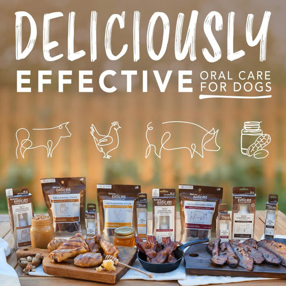 TropiClean Fresh Breath Enticers Peanut Butter & Honey Tartar Control Teeth Clean Gel For Dog (2 oz)