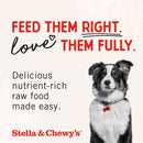 Stella & Chewy's Freeze-Dried Chicken Breast Dog Treats (2.75 oz)