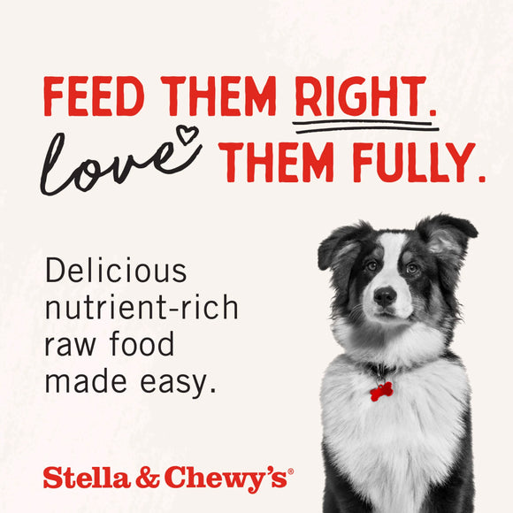 Stella & Chewy's Freeze-Dried Chicken Breast Dog Treats (2.75 oz)