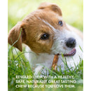Canine Naturals Hide Free Peanut Butter Flavor Sticks Treats For Dog