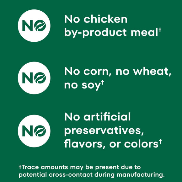 Nutro Crunchy Biscuits with Real Apple Treats For Dog