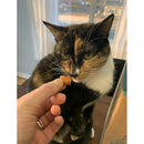 Stashios Wrap-Ups Cheese Flavor Pill Wrapper for Dogs & Cats (2 oz)