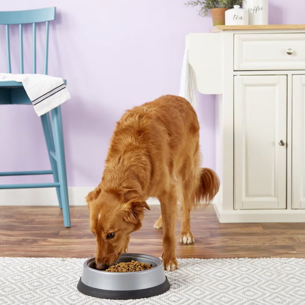 JW Pet Skid Stop Heavyweight Bowl For Dogs & Cats (Assorted Colors)