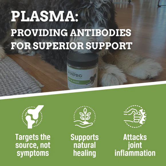 WINPRO Dog Hip & Joint (60 Chews)