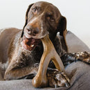Benebone Bacon Flavor Wishbone Durable Chew Toy for Dogs-8