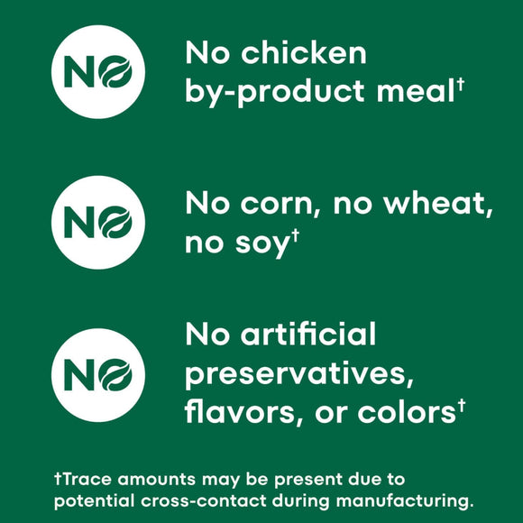 Nutro Crunchy Biscuits with Real Mixed Berries Treats For Dog