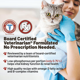 Dave's Pet Food Renal-Friendly Sweet Potato Recipe Treats For Dog (3 oz)