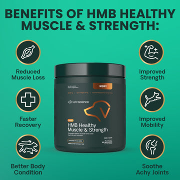 HMB Healthy Muscle & Strength Granules for Dogs