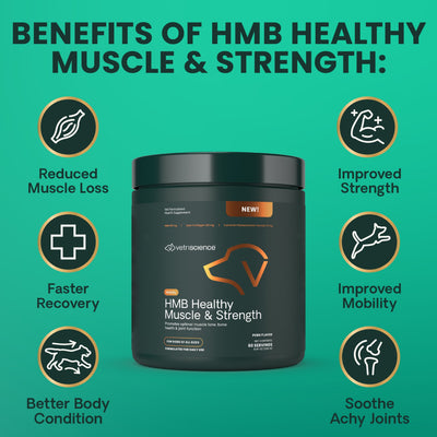HMB Healthy Muscle & Strength Granules for Dogs
