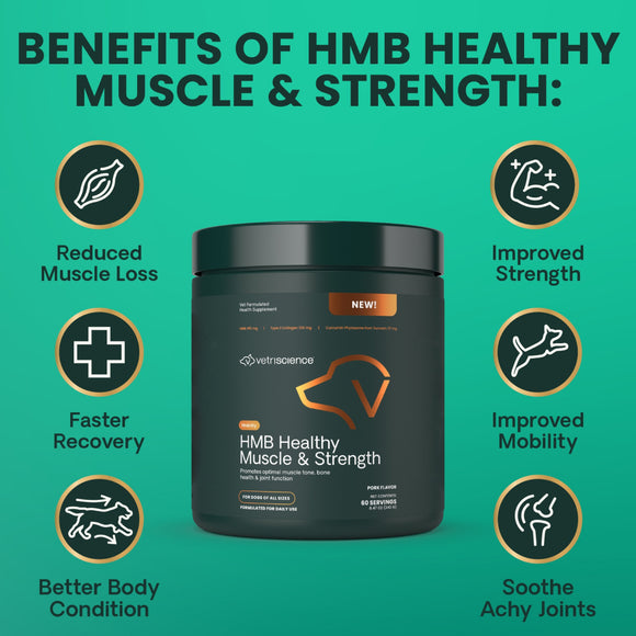 HMB Healthy Muscle & Strength Granules for Dogs