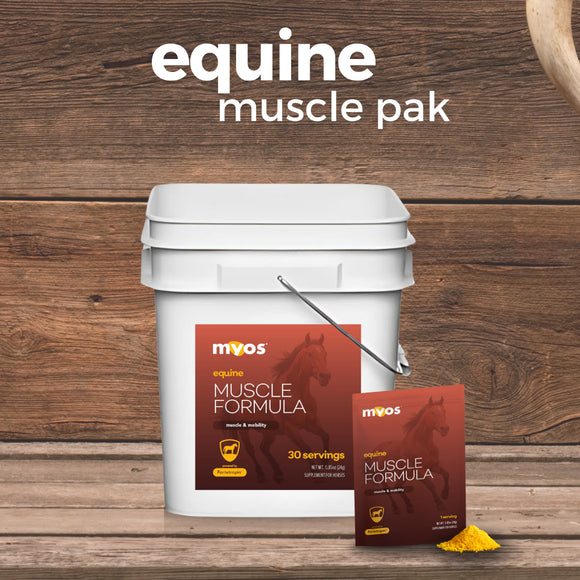 MYOS Equine Muscle Formula For Horse - 24 g