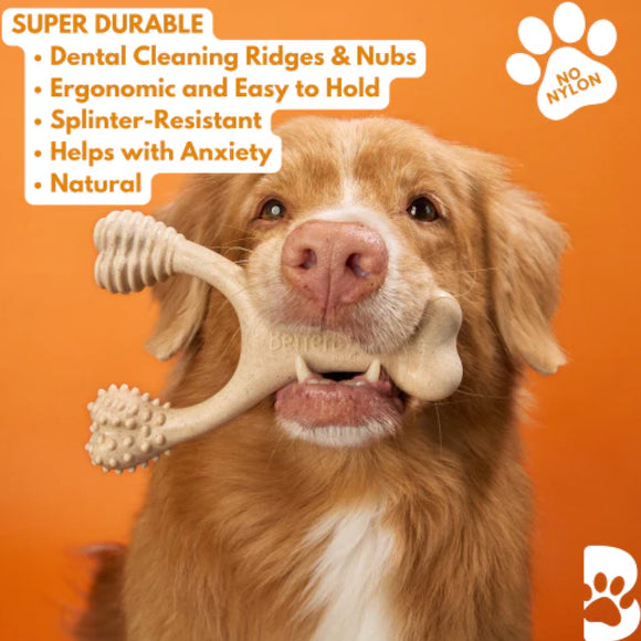 BetterBone Hard Density Beef Flavor Chew Toy For Dog