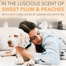 SPA by TropiClean Lavish Renew Shampoo Pets (16oz)