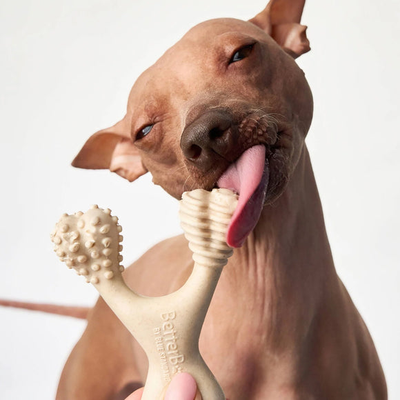 BetterBone Soft Density Beef Flavor Chew Toy For Dog