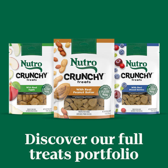 Nutro Crunchy Biscuits with Real Peanut Butter Treats For Dog