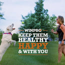 WINPRO Dog Gut Health & Immunity (60 Chews)