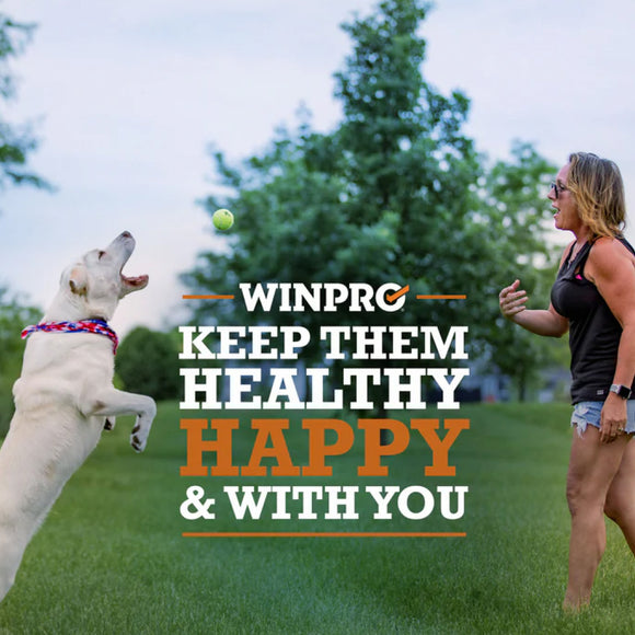 WINPRO Dog Gut Health & Immunity (60 Chews)