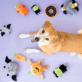 ZippyPaws Grunterz - Orange Spider Toy For Dog